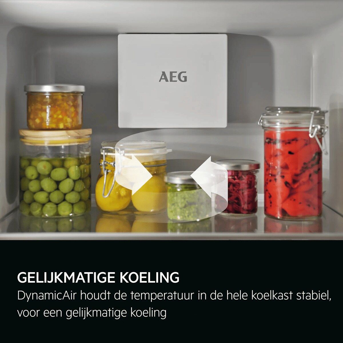 NSF7D181ES AEG afbeelding 2