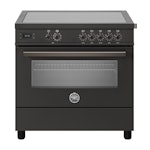 Bertazzoni PRO95I1ECAT2