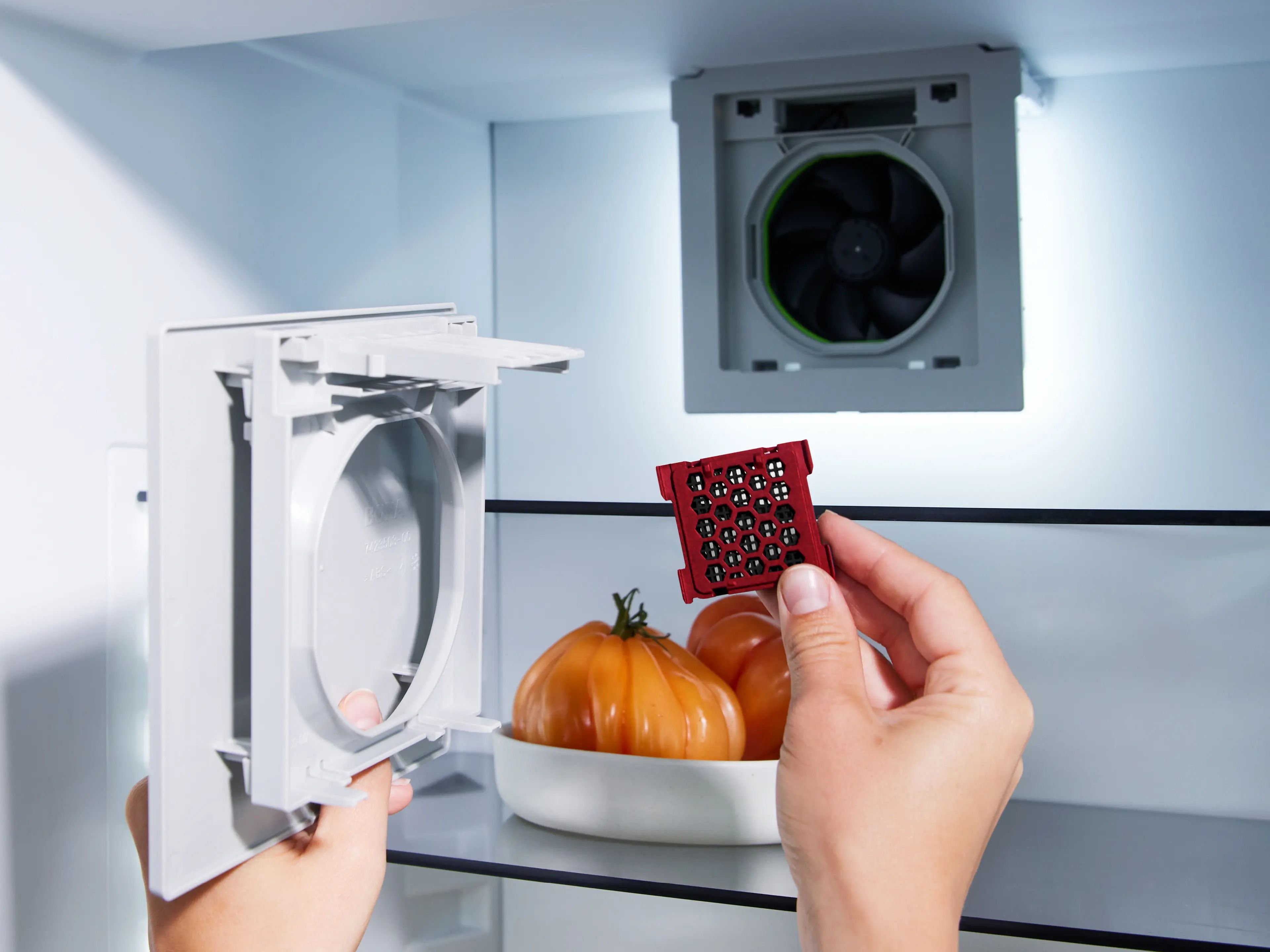 KGF Bora afbeelding 2