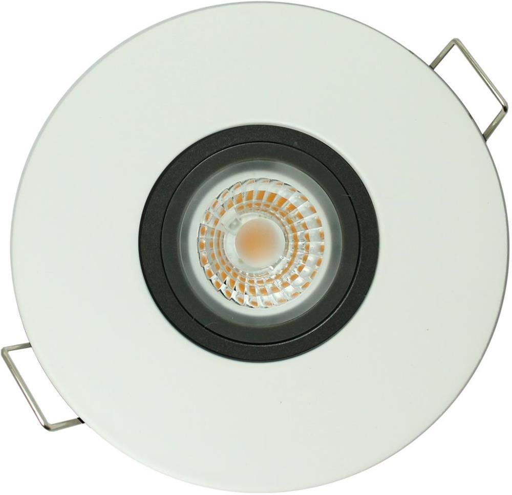 DPS 004731