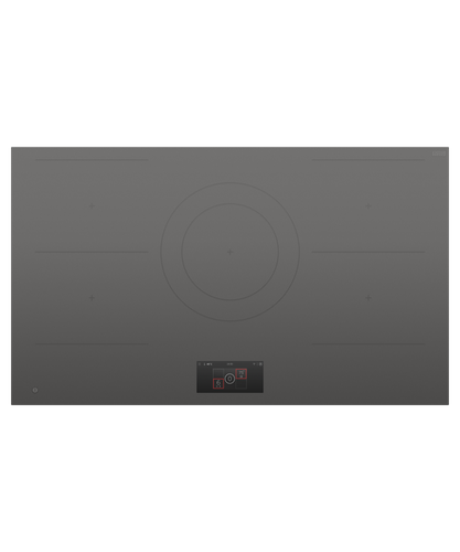 Fisher & Paykel CI905DTTG1