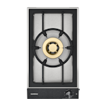 Gaggenau VG231220
