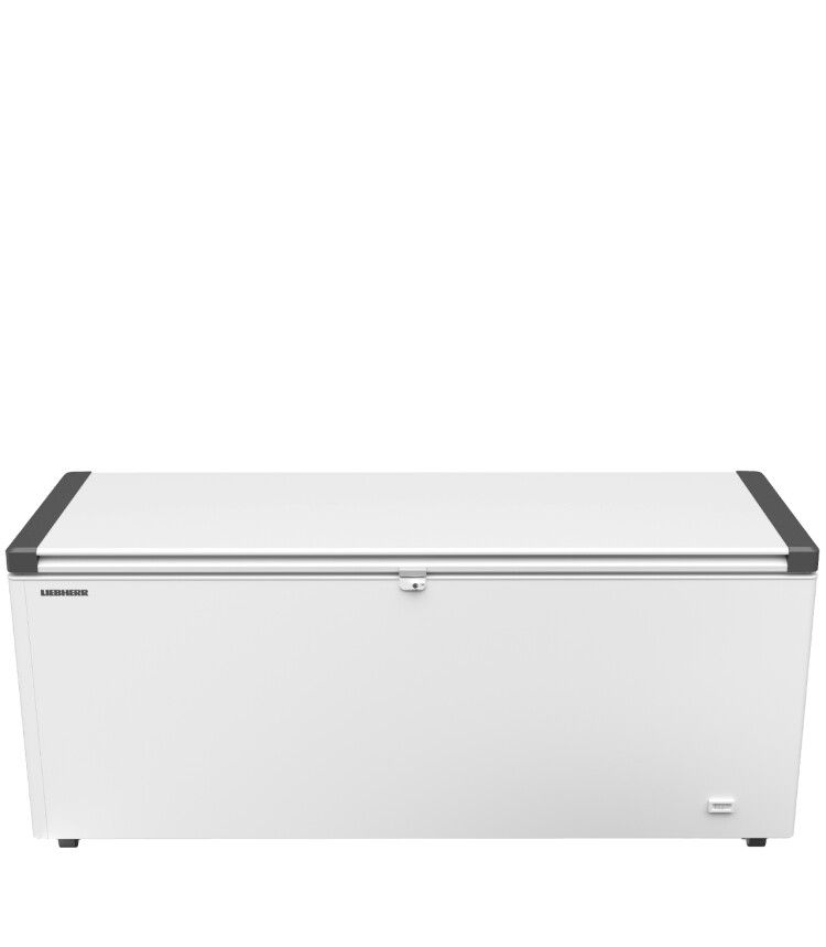 Liebherr EFL 6055-20