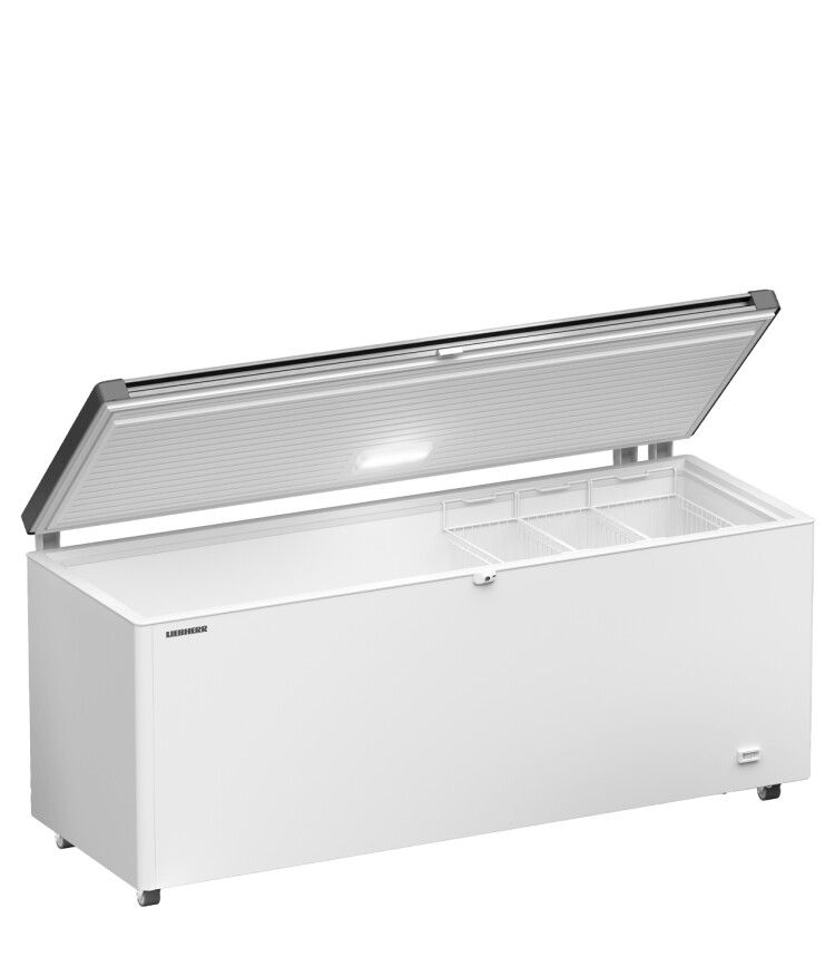 Liebherr EFL 6056-20