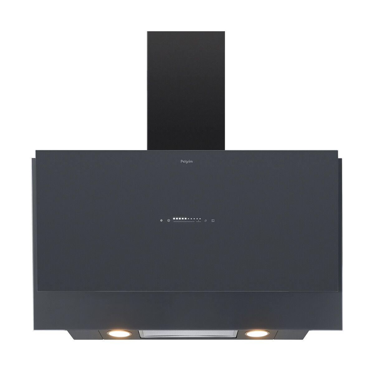 Pelgrim DSG880ANT foto 1
